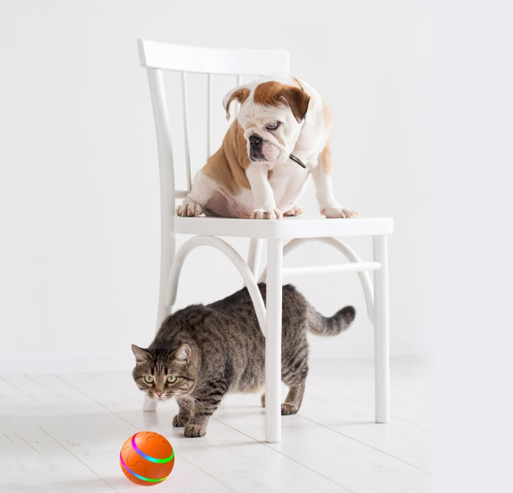 Intelligenter automatischer Katzenball – USB aufladbar